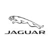 Jaguar Kenya