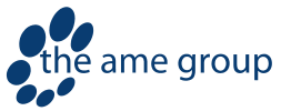 The AME Group