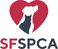 San Francisco SPCA Community Veterinary Clinic